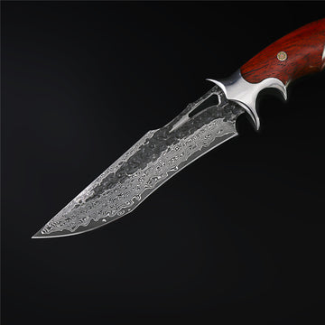 The Pegasus Damascus Steel Fixed Blade